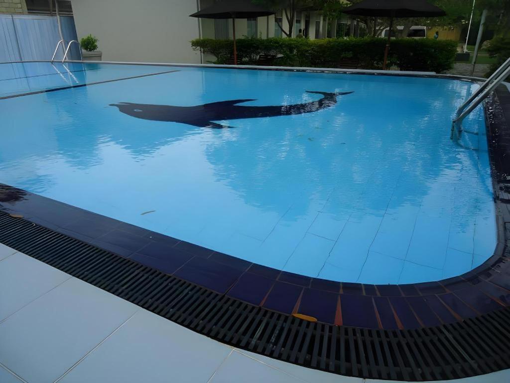 (5000 m²), 7 Schlafzimmer und 7 eigene Badezimmer in Yala Tissamaharama Exterior foto